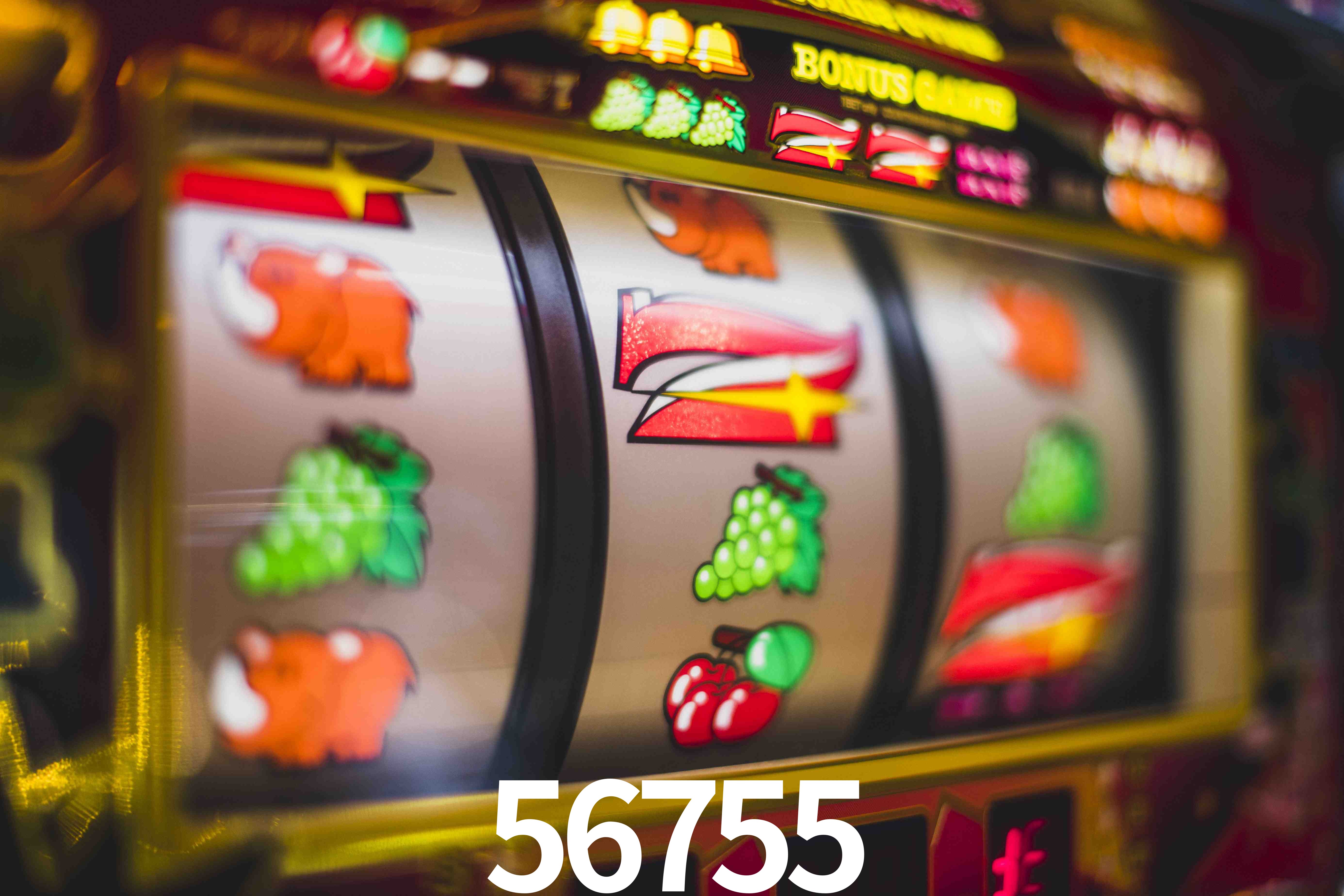 VIP Casino 56755